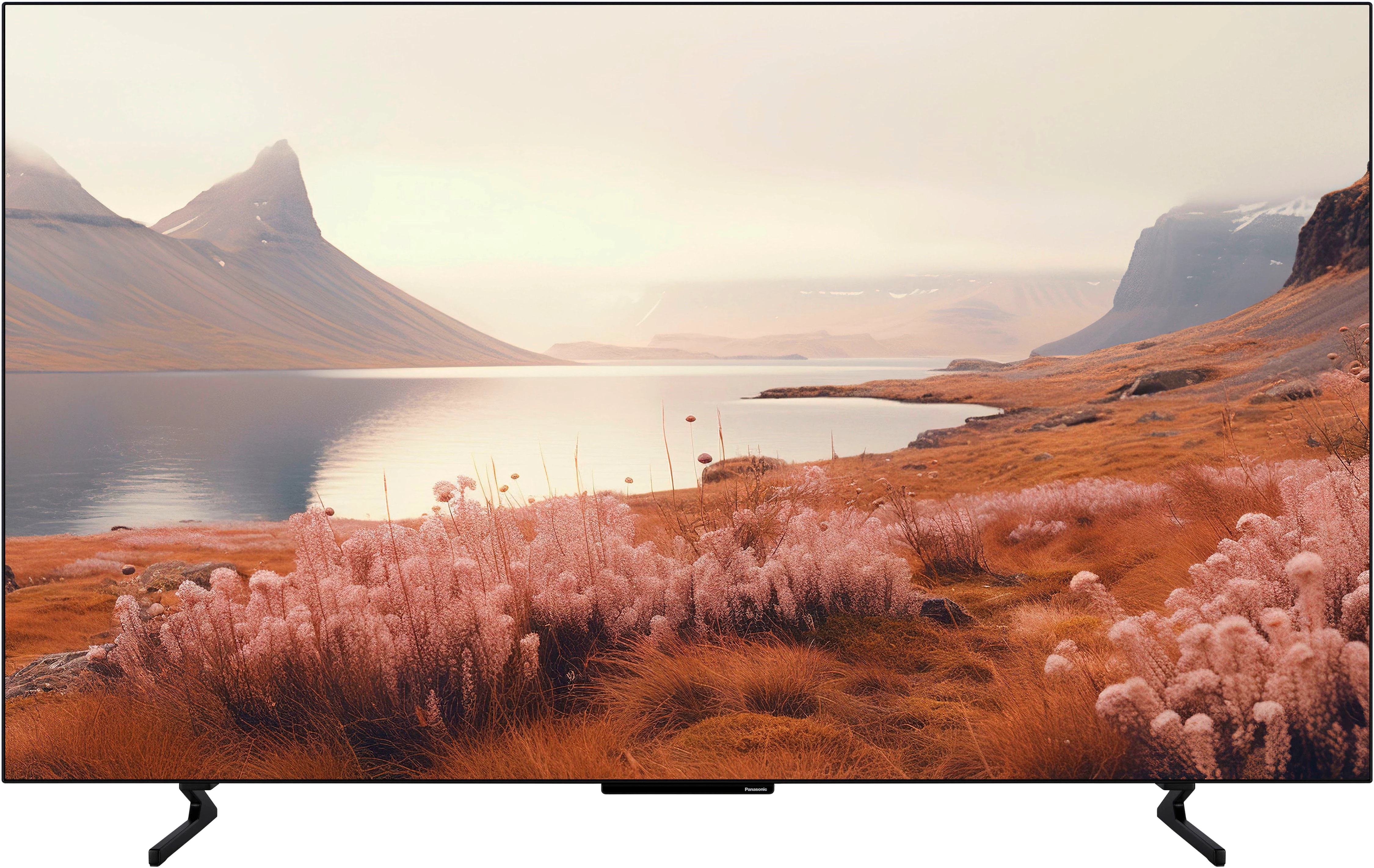 Panasonic TB-65Z60AEG OLED-Fernseher (164 cm/65 Zoll, 4K Ultra HD, Smart-TV)